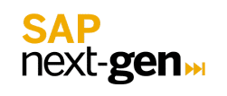 SAP-nexgen-fbeuii